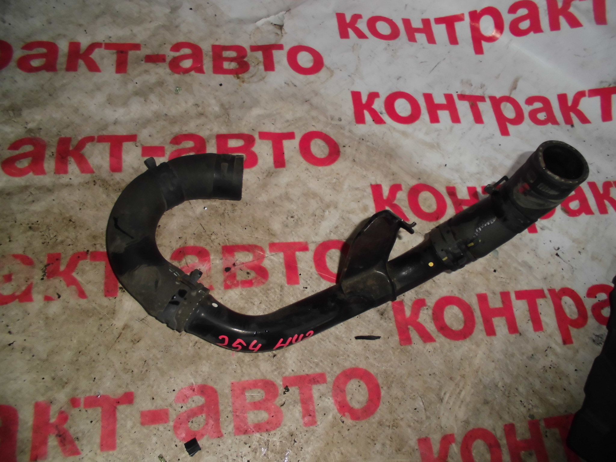 https://images.vfl.ru/ii/1523416795/39392d58/21328562
