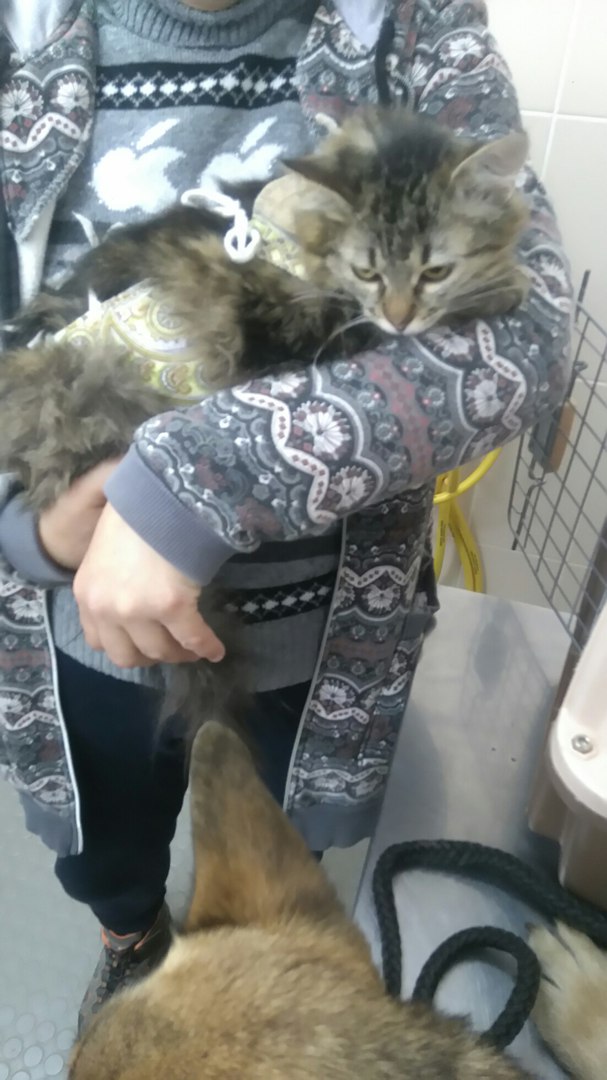 Мишелька