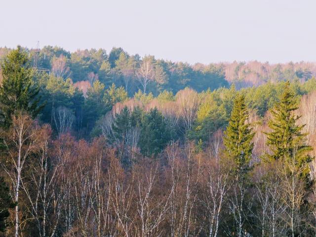 VFL.RU - ваш фотохостинг VFL.RU - ваш фотохостинг