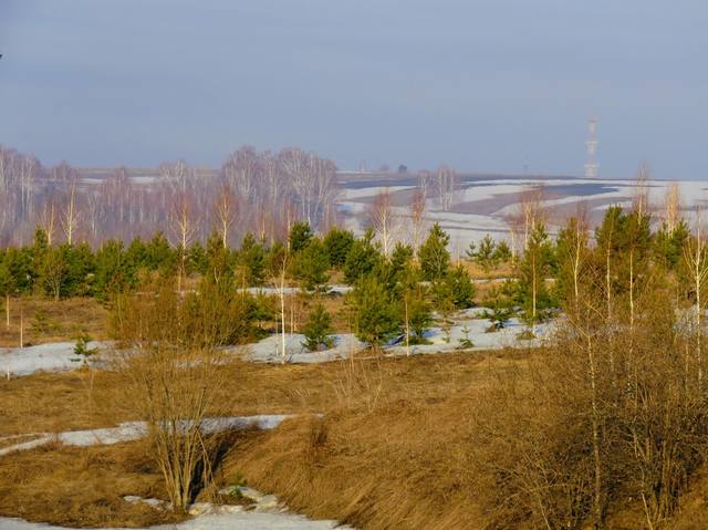 VFL.RU - ваш фотохостинг VFL.RU - ваш фотохостинг