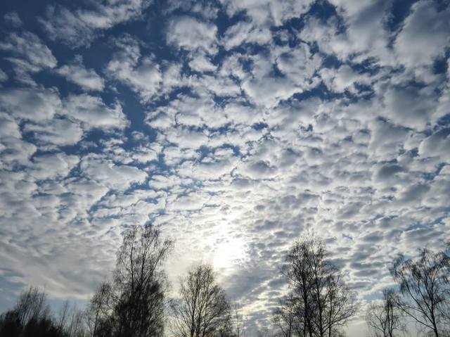 VFL.RU - ваш фотохостинг VFL.RU - ваш фотохостинг