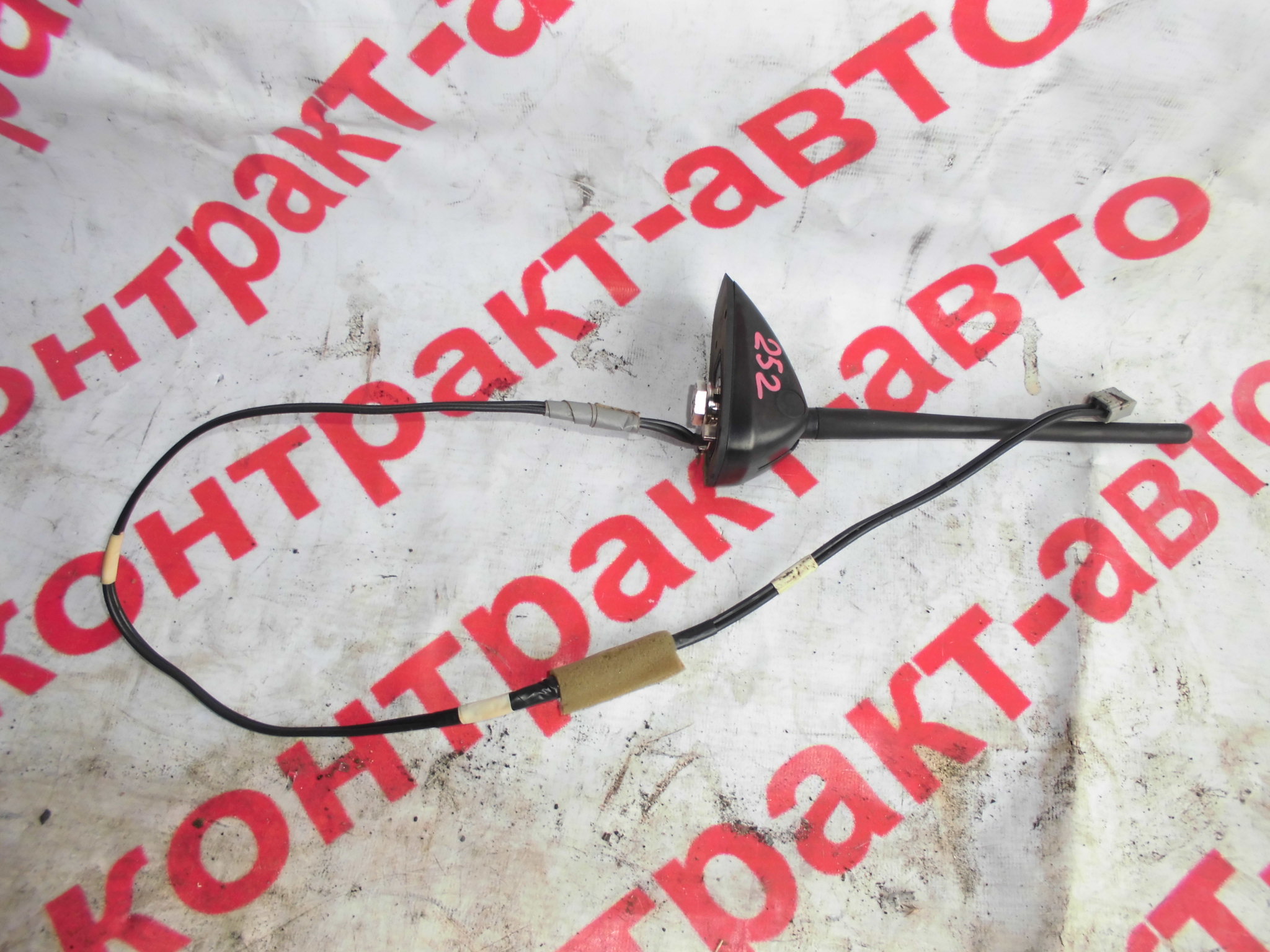 https://images.vfl.ru/ii/1523623879/64965865/21360099