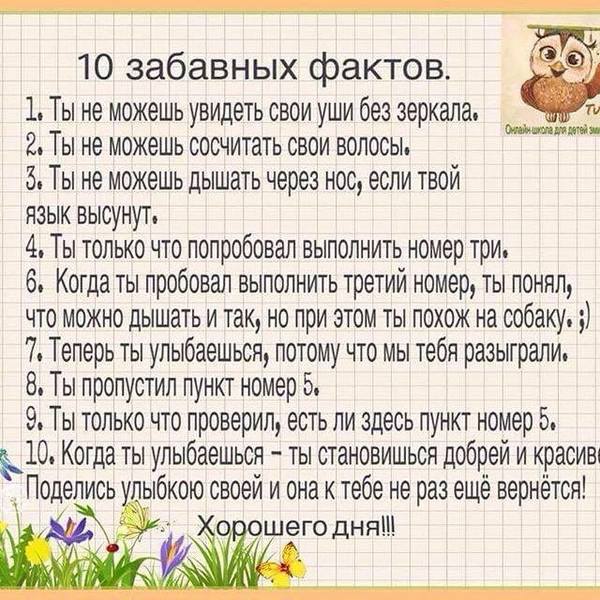 10 забавных фактов