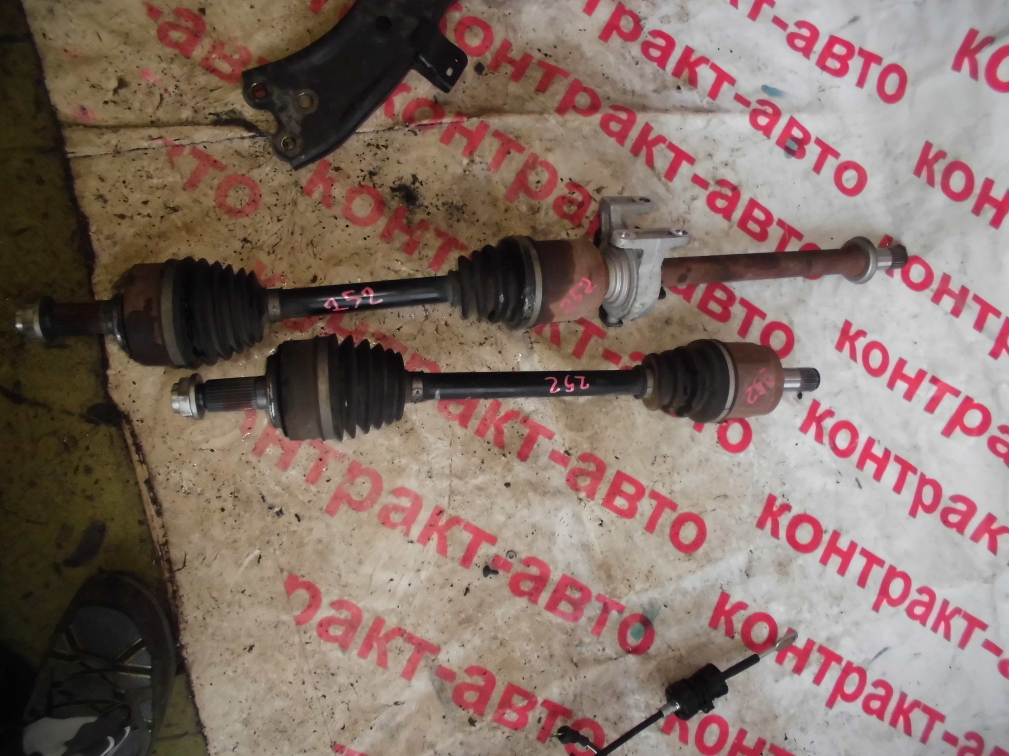 https://images.vfl.ru/ii/1523674269/8e1130ff/21366796