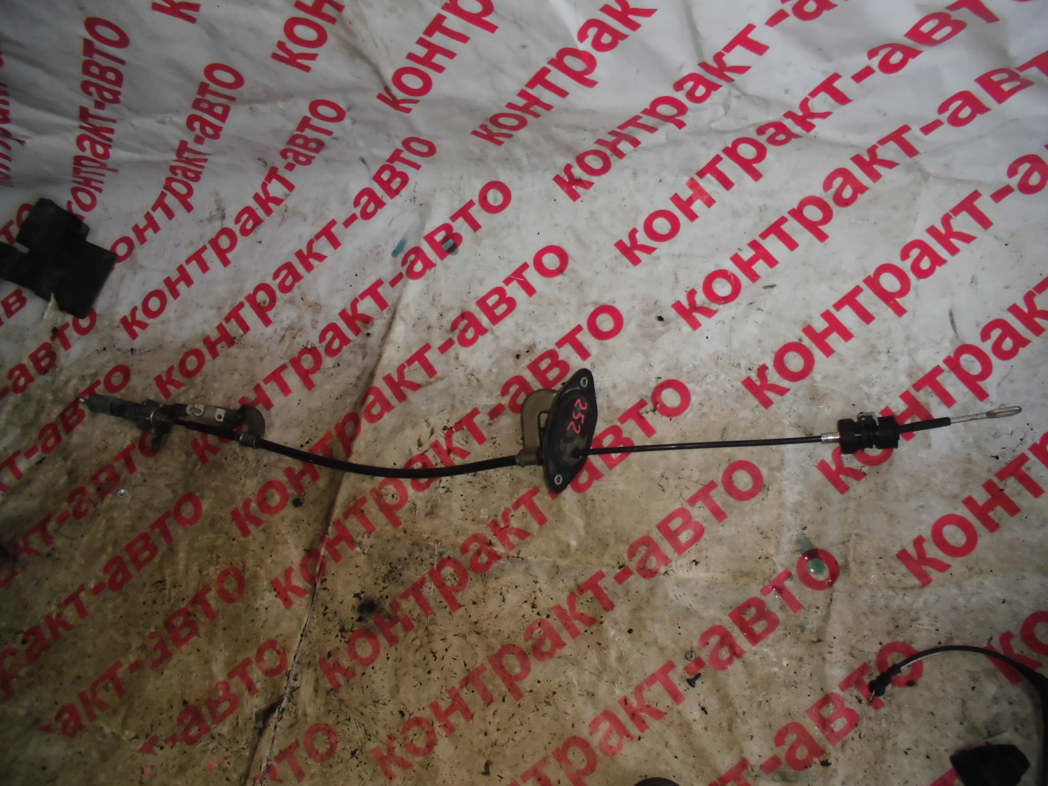 https://images.vfl.ru/ii/1523674271/2aa92ec7/21366809