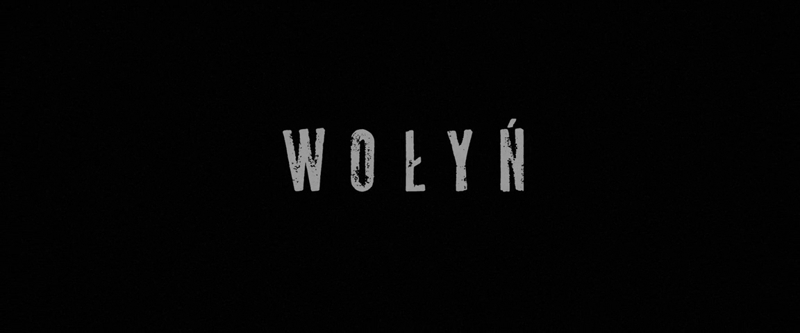 Wolyn 01