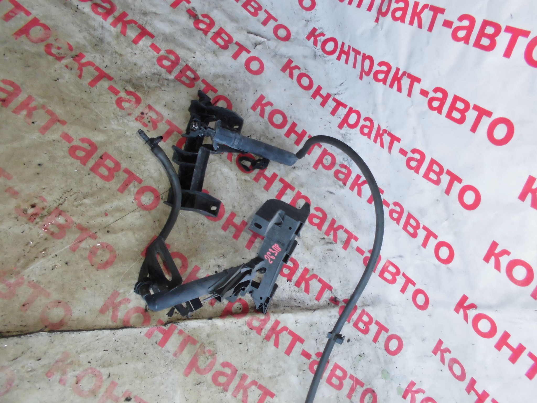 https://images.vfl.ru/ii/1524382709/5004bb0b/21464116