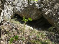 Грот на подьёме к пещере.