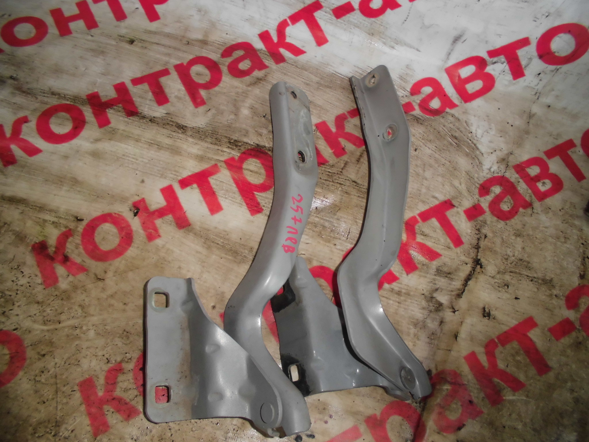 https://images.vfl.ru/ii/1524716920/c29531df/21513294