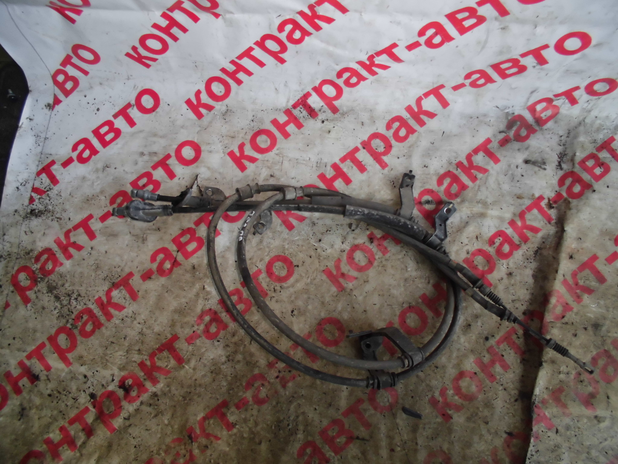 https://images.vfl.ru/ii/1524976967/383cc3a2/21547191