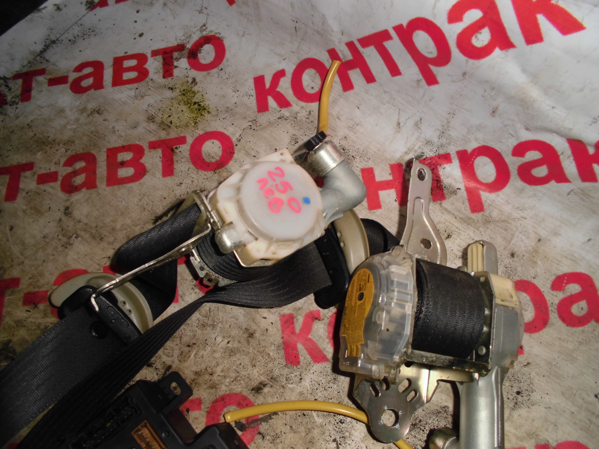 https://images.vfl.ru/ii/1524987241/f9c4d758/21548592
