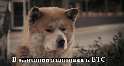 VFL.RU - ваш фотохостинг