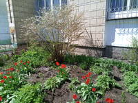 VFL.RU - ваш фотохостинг