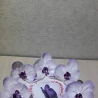 image (30)
