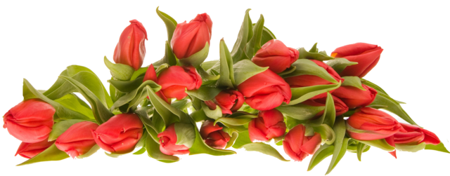 bouquet PNG1