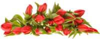 bouquet PNG1