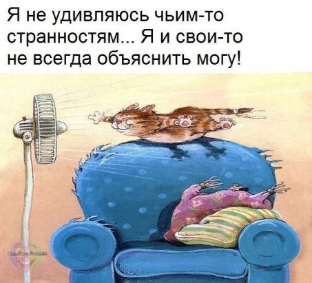 imageTJ1PKIS4