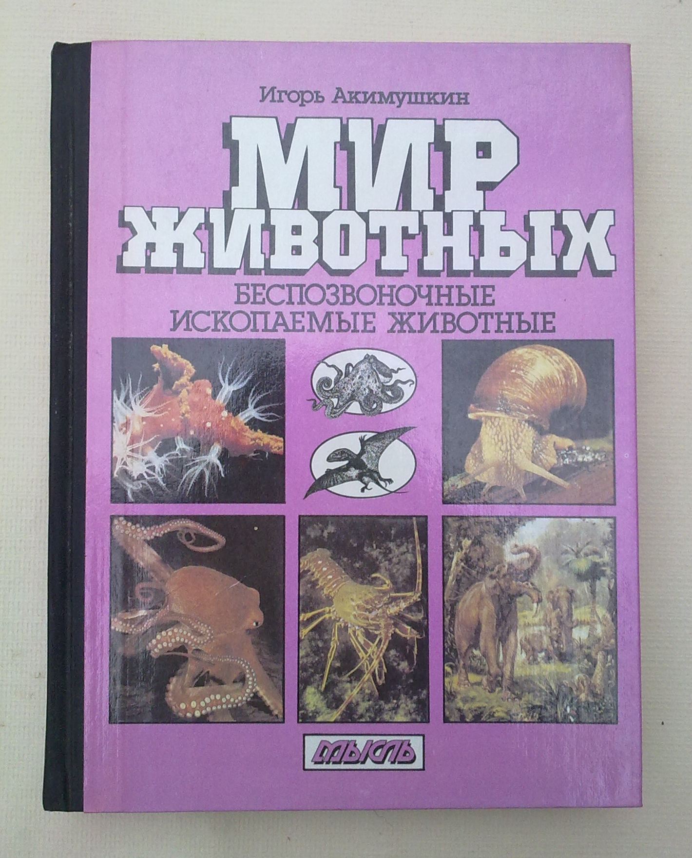 Акимушкин следы невиданных зверей читать. Акимушкин и. "мир животных". Животные Акимушкин. Акимушкин следы невиданных зверей книга.