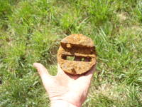 VFL.RU - ваш фотохостинг