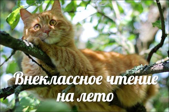 внеклассное чтение списки