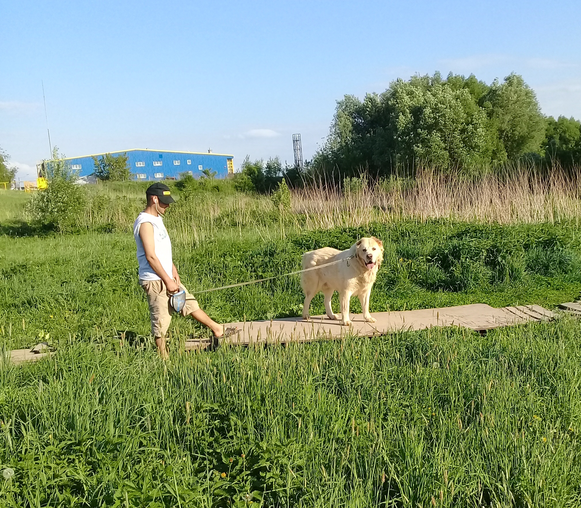вы