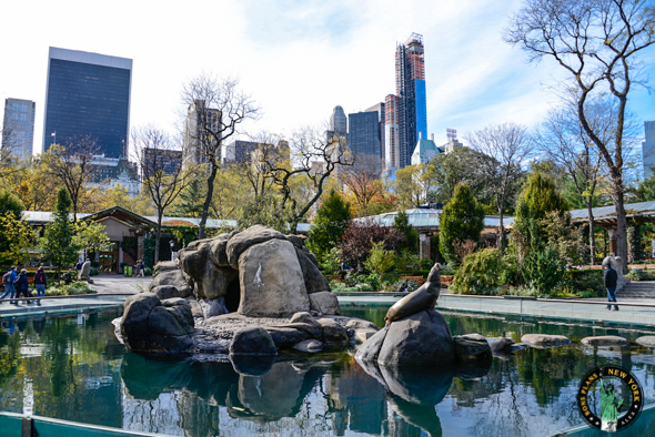 Central-Park-Zoo