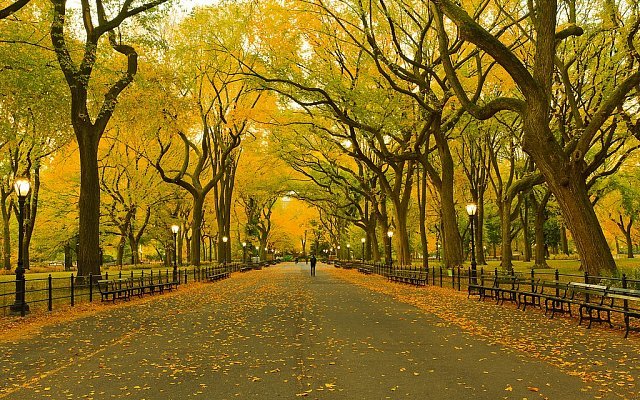 tsentralnyy-park-nyu-yorka 5