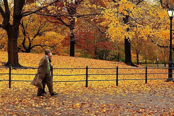 tsentralnyy-park-nyu-yorka 59