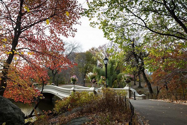 tsentralnyy-park-nyu-yorka 9