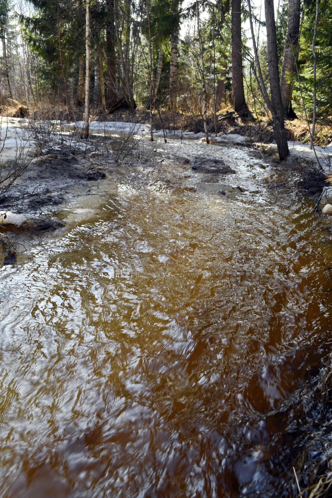image12