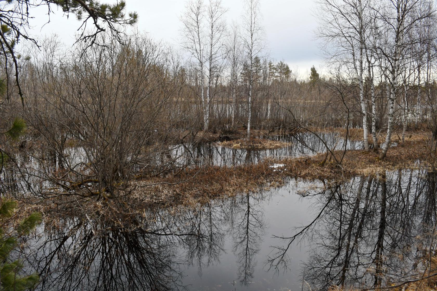 image14