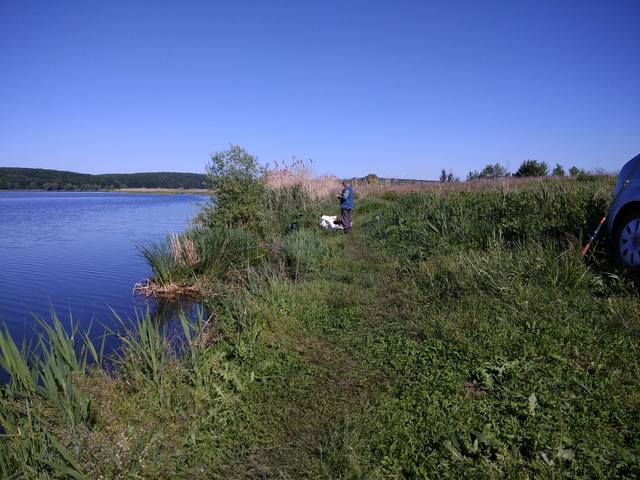 VFL.RU - ваш фотохостинг