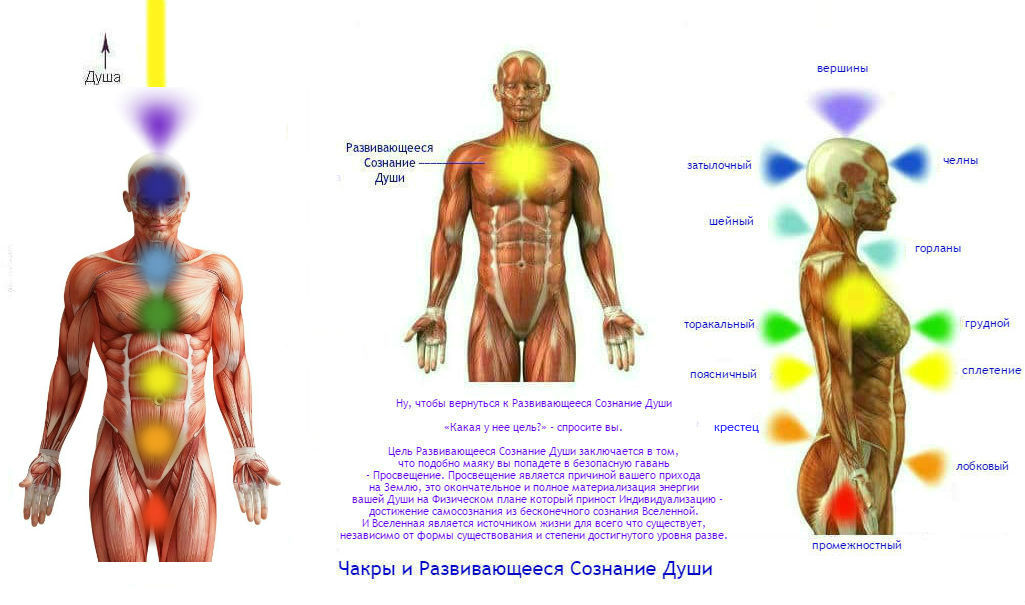 Чакра души. Строение энергетического тела человека. Чакры человека их расположение и значение. 12 Чакр человека.