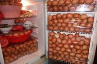 steal eggs 01