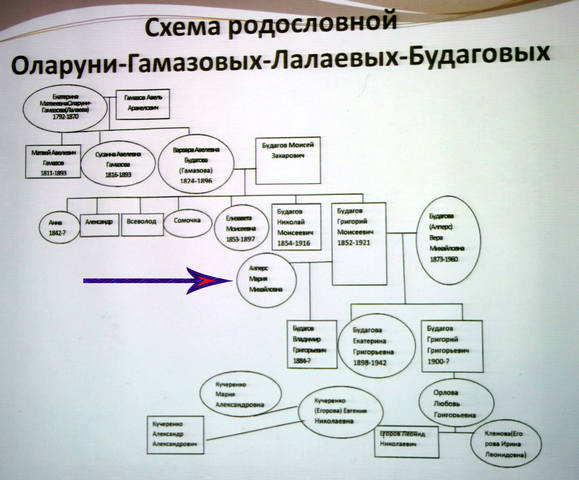 Схема родословной Будаговых