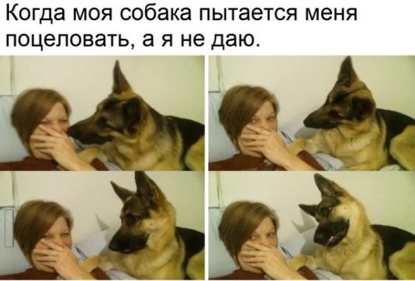 поцеловать