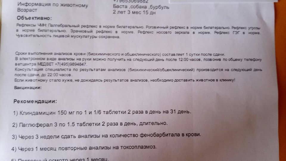 VFL.RU - ваш фотохостинг