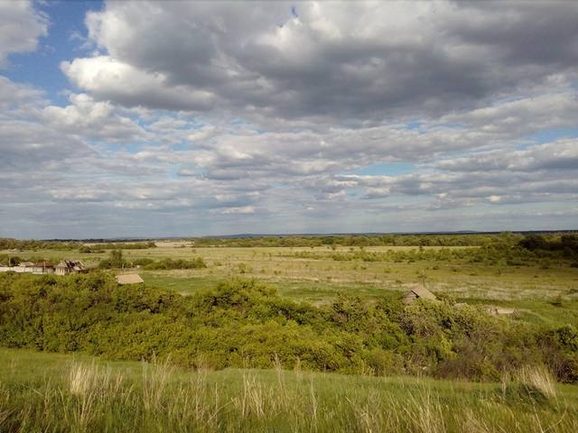 с (14)