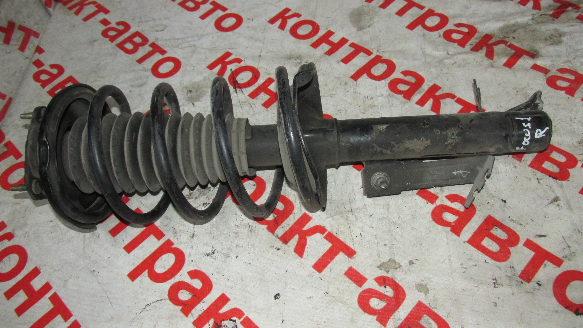 29295-amortizator-peredniy-r-ford-focus-i_0