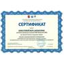 Сертификат (член жюри городского конкурса проектных работ)