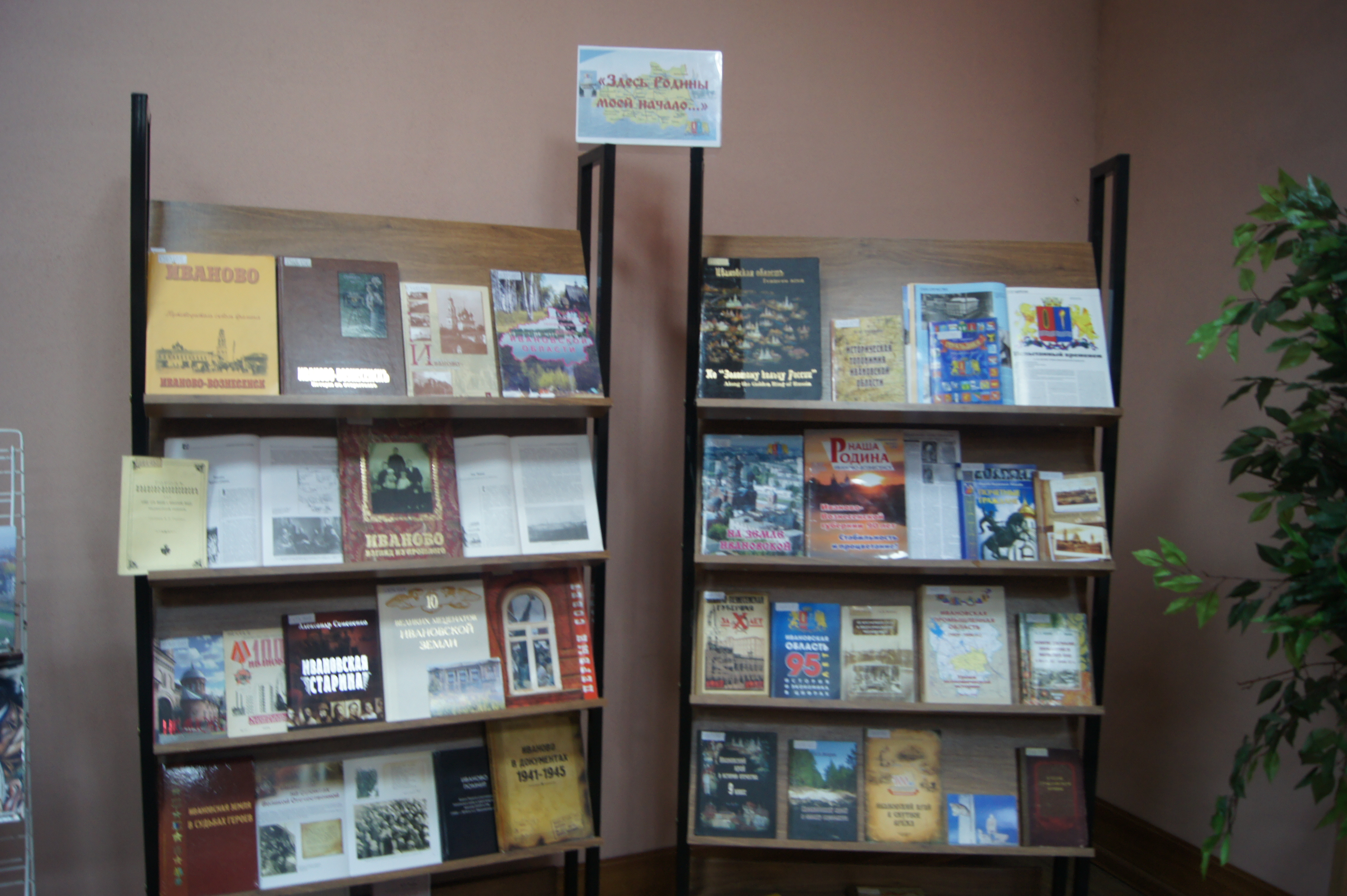 Книжно-иллюстративная выставка