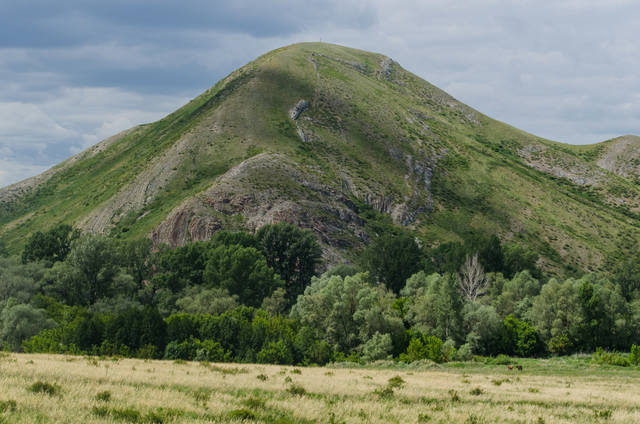 Заповедник "Андреевские шишки"