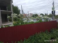 VFL.RU - ваш фотохостинг