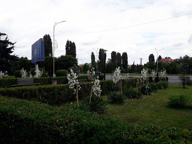 VFL.RU - ваш фотохостинг