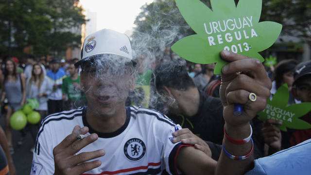 Уругвай марихуана