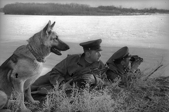 VFL.RU - ваш фотохостинг