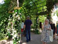 VFL.RU - ваш фотохостинг