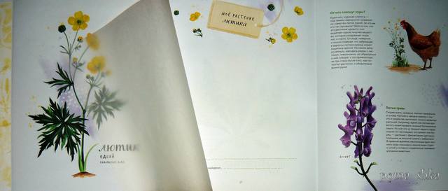 VFL.RU - ваш фотохостинг