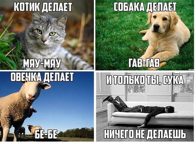 getImage (32)