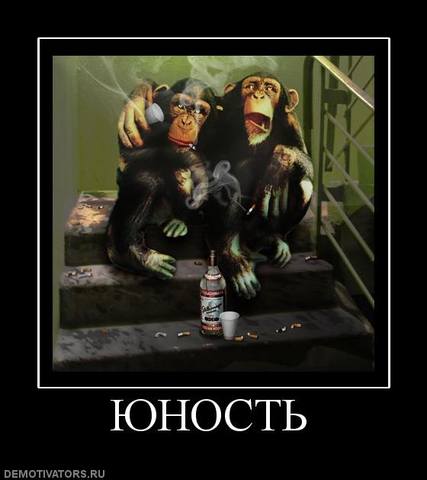 VFL.RU - ваш фотохостинг